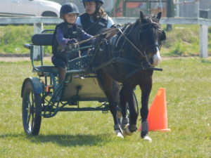 Equitation du souffle, Poney club et cheval club sur la Route des vins d’alsace