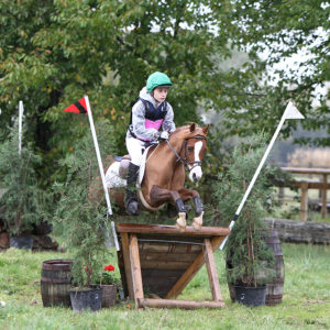 Equitation du souffle, Poney club et cheval club sur la Route des vins d’alsace