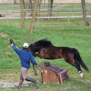 Equitation du souffle