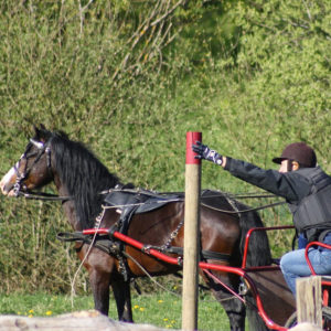 Equitation du souffle