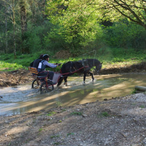 Equitation du souffle